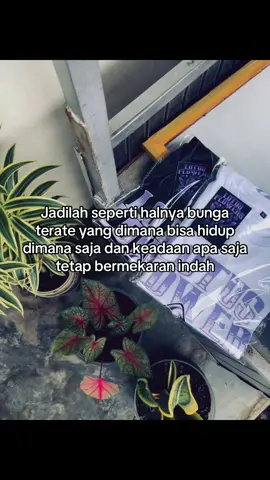 #psht #pshtpusatmadiun #pshtstory #fyp 