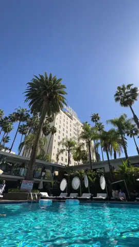 #hollywoodlife #californiadreaming #losangeles 