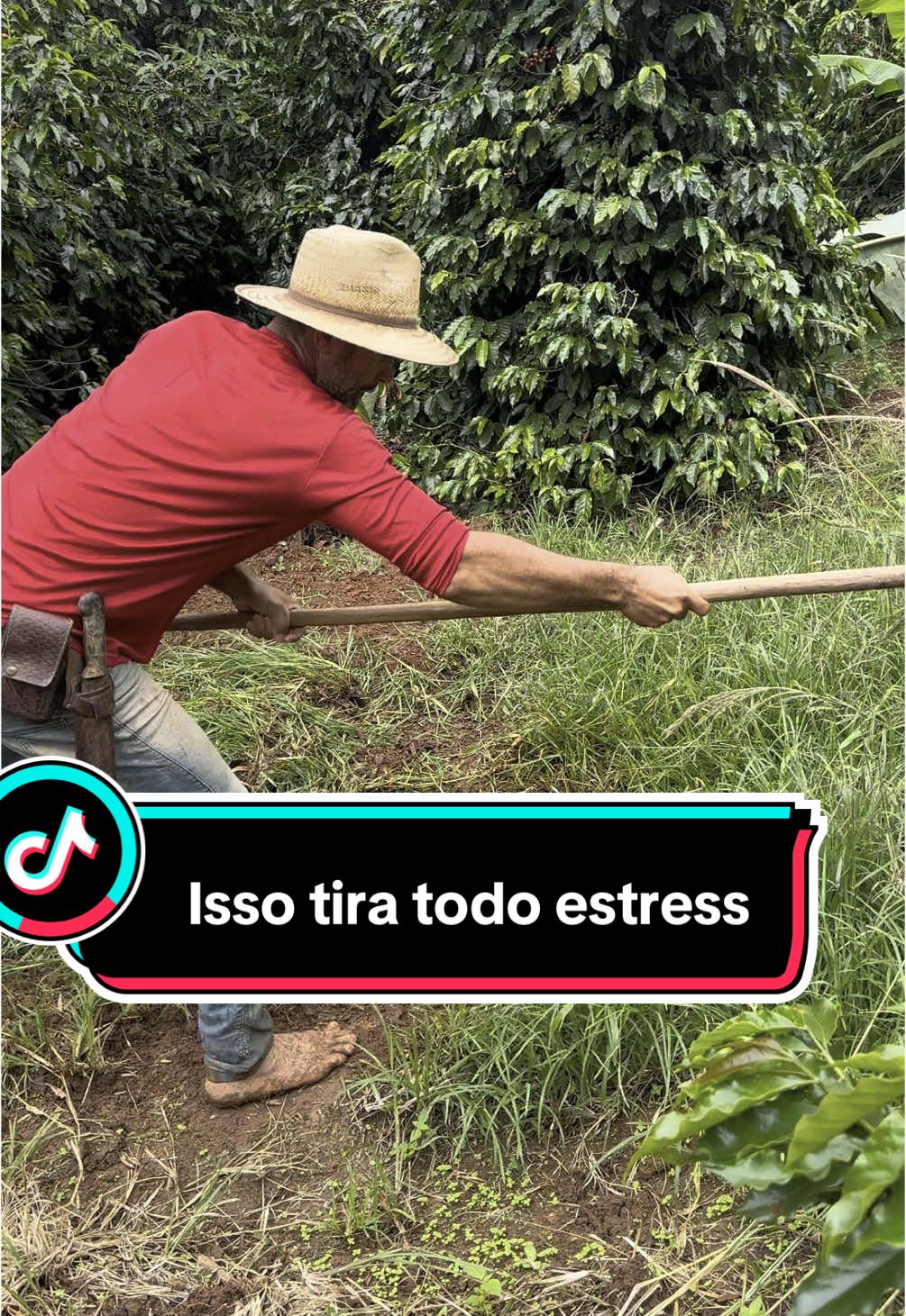 Melhor jeito de almenta testosterona #agro #trabalhomanual 