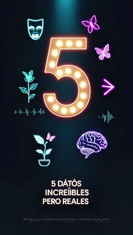 No creerás que estos datos son reales! 🤯 Desde 🦋 mariposas con papilas gustativas en las patas… hasta 🧠 cerebros encendiendo focos ¡El #4 te va a volar la cabeza! #WTFacts #Curiosidades #DatosImpactantes #ParaTi #CosasLocas