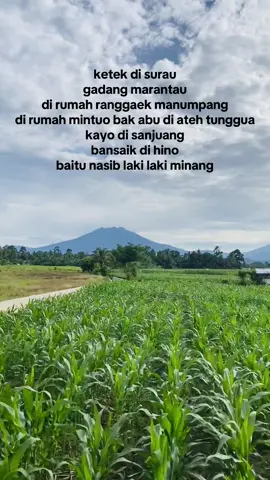 ketek di surau gadang marantau di rumah ranggaek manumpang di rumah mintuo bak abu  di ateh tunggua kayo di sanjuang bansaik di hino baitu nasib laki laki minang #minang  #minangkabau 