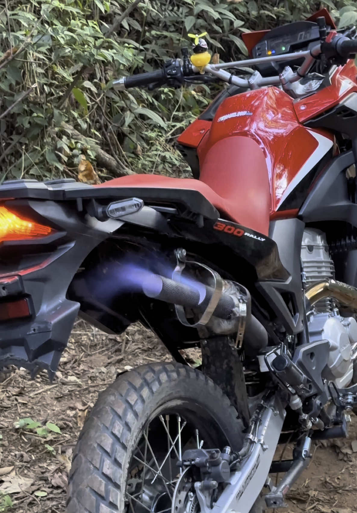 Chapa🔥🔥 . . . . . . . #xre300 #viralvideos #motor 
