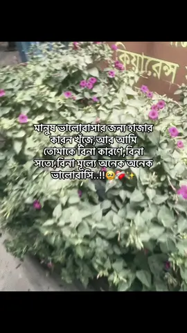 Mation your patnar🙂✨#vairal #vairal_video #vairal_video_tiktok #foryoupage #foryou #foryoupageofficiall #unfreezemyacount #growmyaccount #explore #samiasamu05 #trend #trendingvideo #tiktoklove #tiktokviral #bangladesh🇧🇩 #bdtiktokofficial🇧🇩 #শারীয়তপুর__মেয়ে