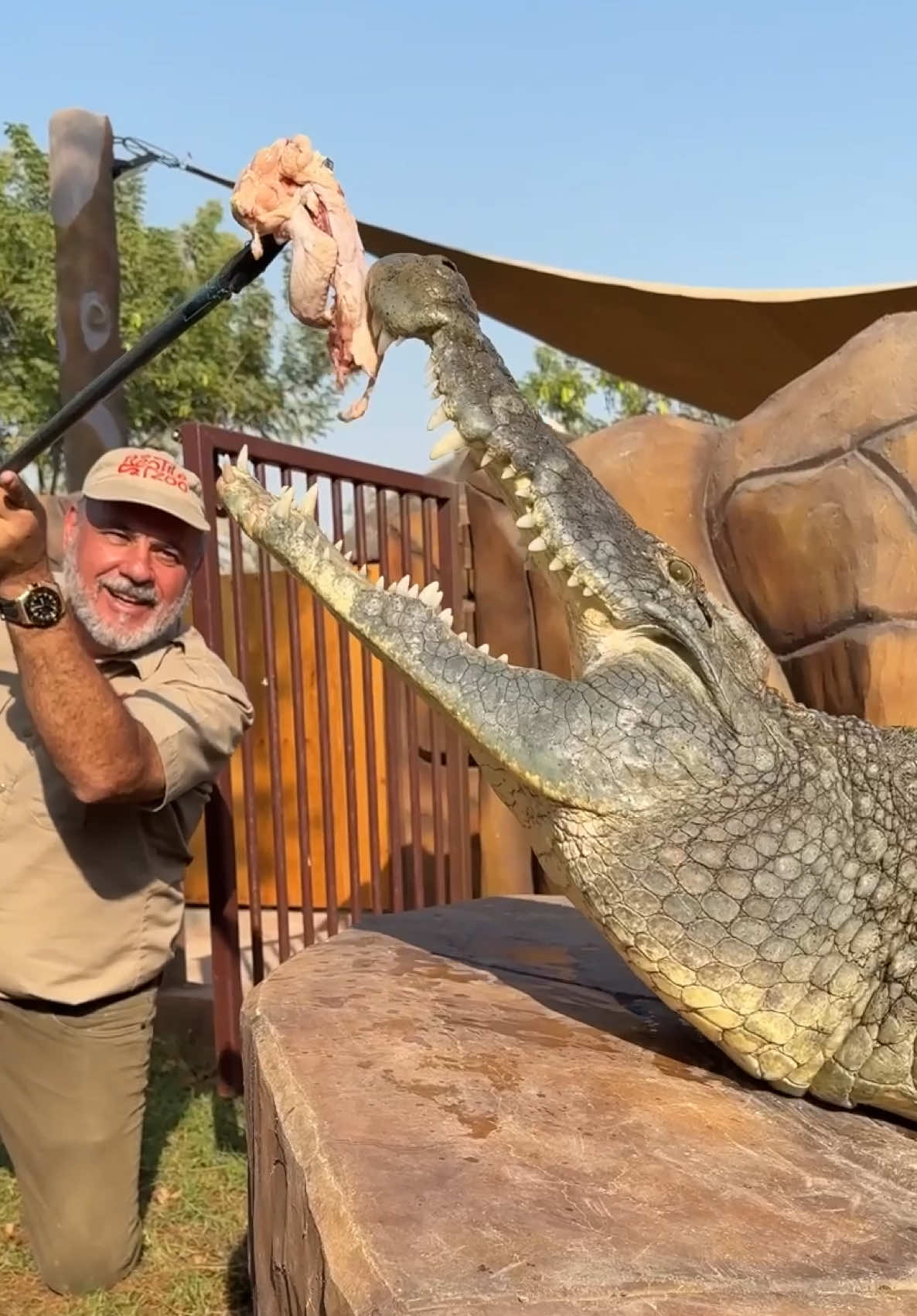 Feeding this GIANT Nile Crocodile up close was an awesome experience! 🐊💥 Just look at how massive, powerful, and downright beautiful this prehistoric predator is🤩 He’s been getting spoiled with food lately so he’s a little lazy at the moment😅 but you can still feel the strength and presence he carries with every move😳 Although he looks calm right now that doesn’t mean he couldn’t get me if I wasn’t careful😮 these animals demand respect, no matter how chill they’re acting🔥
