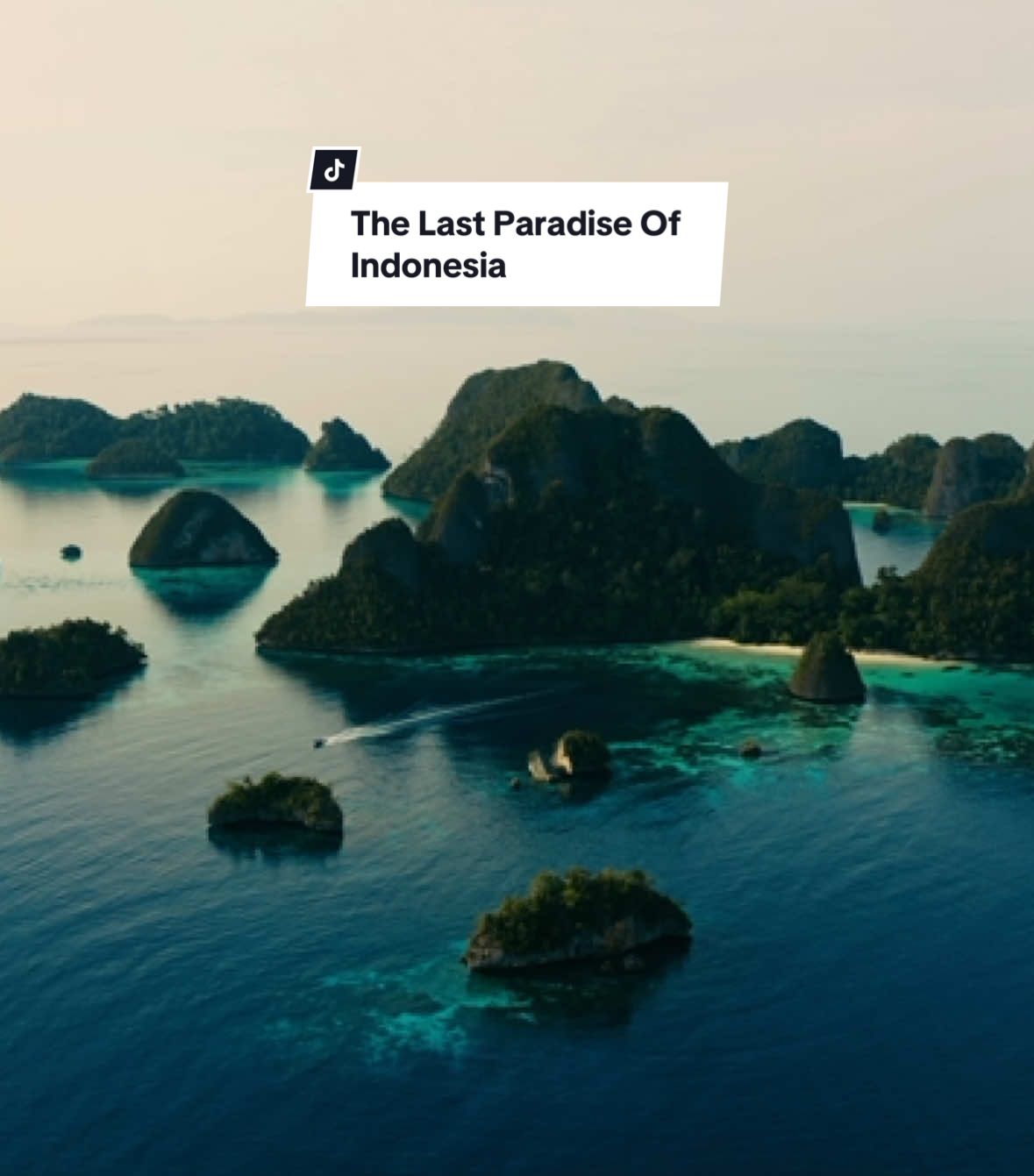 Salah satu destinasi wajib kalian kunjungi di indonesia, yaitu Raja Ampat🌴 #bamonkemana #rajaampat #rawglobal 