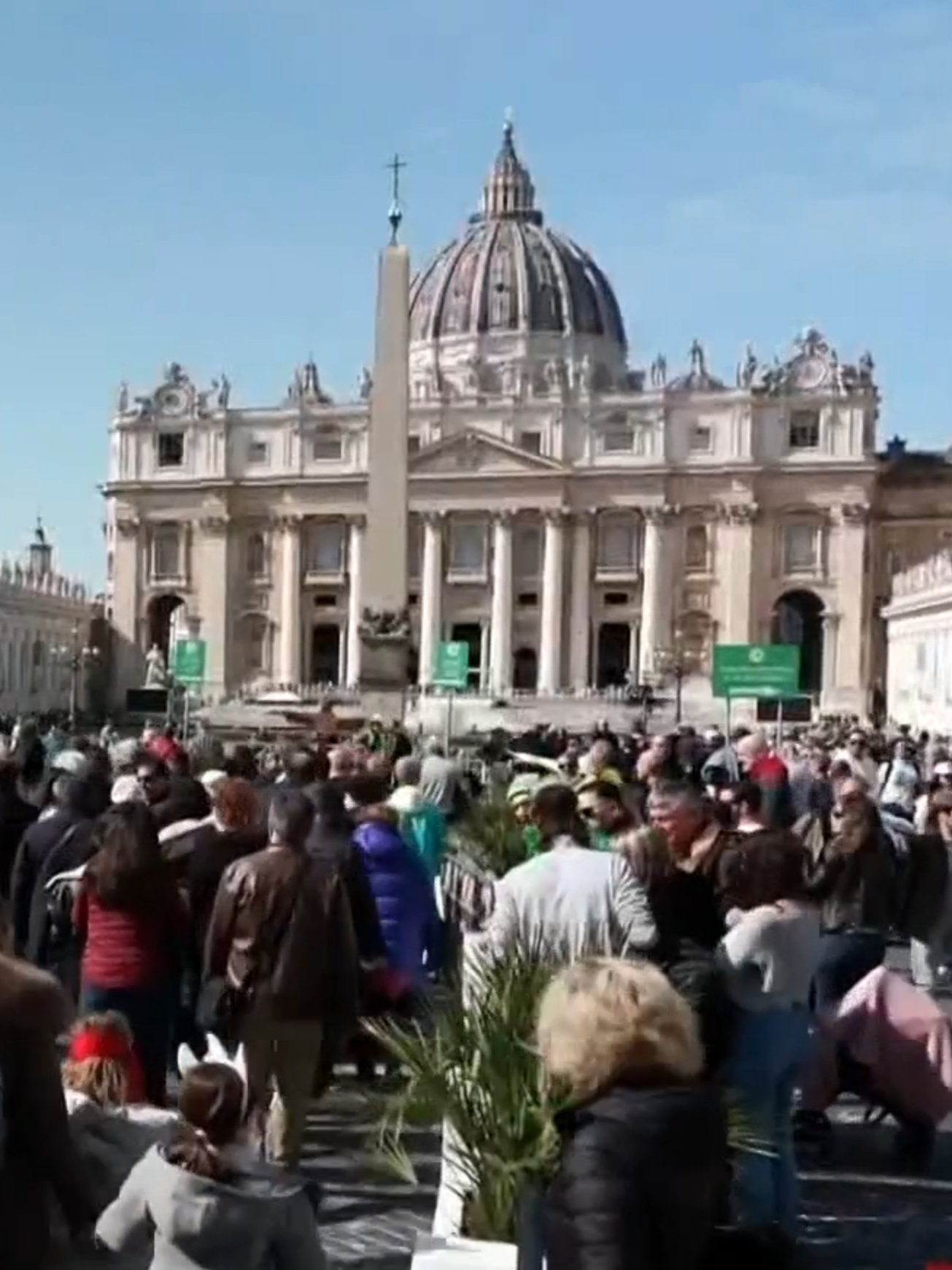 Yo quería verlo todavía vivo entramos a la basílica y nos topamos con mexicana triste por el papa Francisco. Angélica Carrasco es una feligresa de México y fue volando a Roma cuando se enteró que Francisco había muerto. Como ella, miles desfilan por su ataúd para presentar sus respetos en una Basílica de San Pedro donde pese de la multitud el silencio predomina.