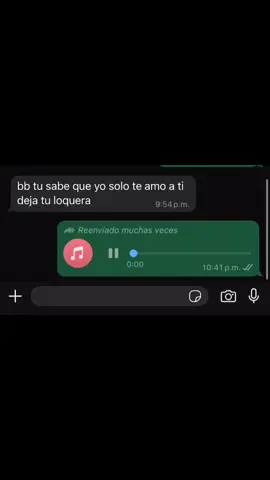 Diq me ama 😹#audios #grupo 