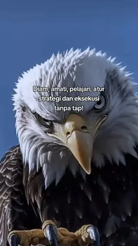 jangan biarkan target lolos dari genggaman 🔥 #elang #katakata #motivation #storytime #xybca 