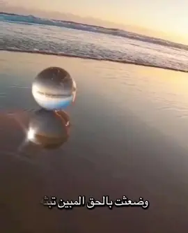 صلوا على من ولد يتيما وعاش كريما ومات عظيما اَللّٰھُمَّ صَلِّ وَسَلِّم عَلٰی نَبِيِّنَا مُحَمَّد ﷺ