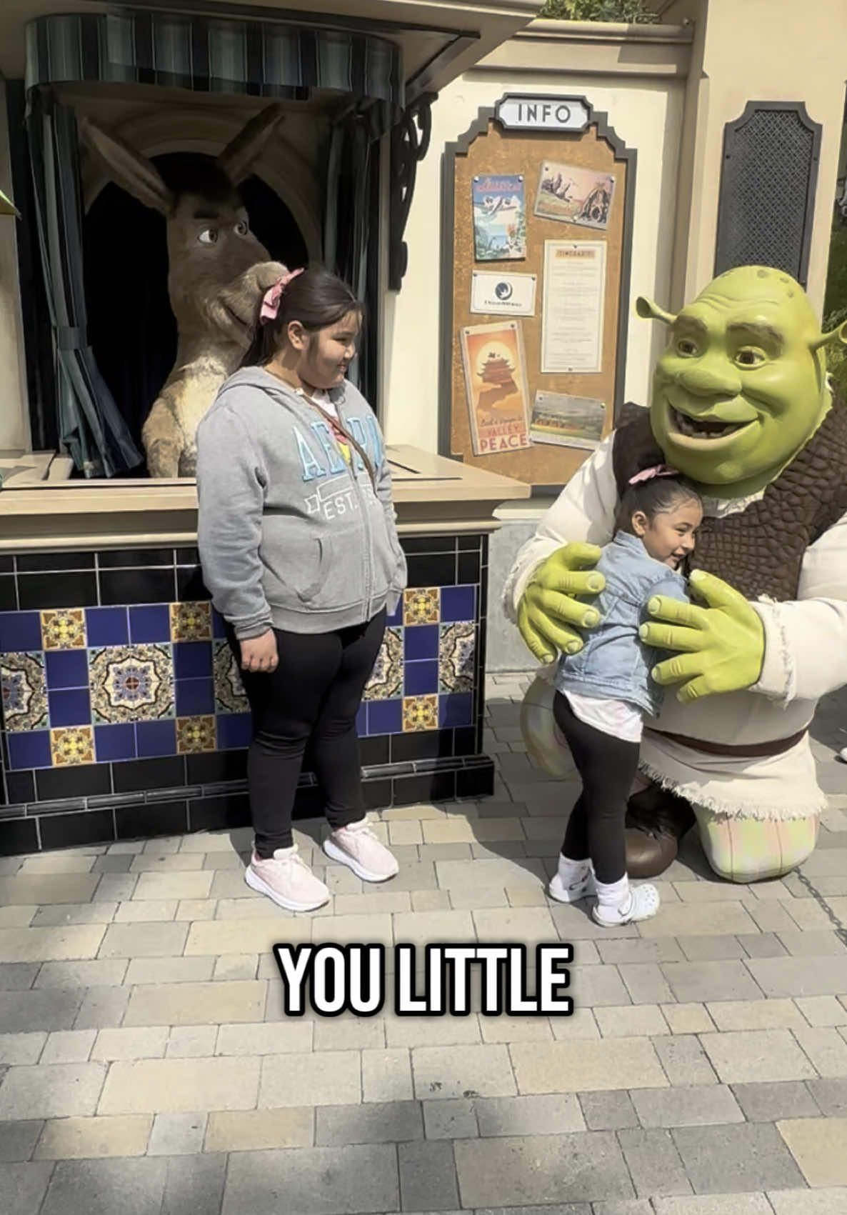 Donkey is such a vibe “Hug the pelusaaa” “Quesooooo”😂😂 #universalstudios #universalstudioshollywood #sherk #donkey #hollywoodstudios #fyp #viralvideo #virall #paratii #pov 