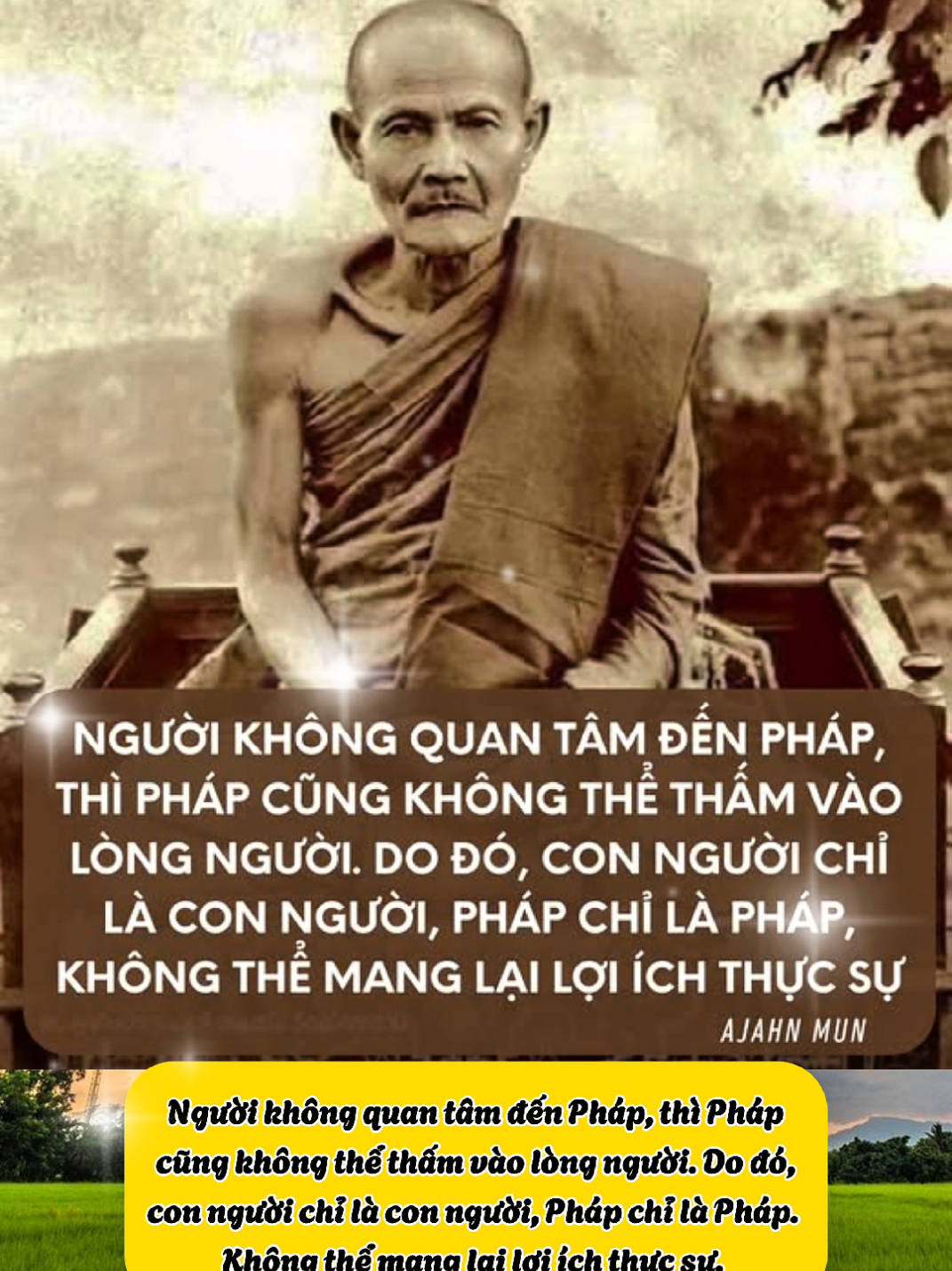 Người không quan tâm đến Pháp, thì Pháp cũng không thể thấm vào lòng người. Do đó, con người chỉ là con người, Pháp chỉ là Pháp, không thể mang lại lợi ích thực sự. #chiasephap  #nuoiduongbodetam 