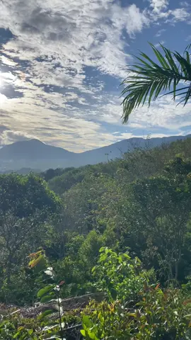 View dari Bukit Simarsayang, Padangsidimpuan. #nature #naturevibes #relax #relaxing #therapy #forest #cinematic #cinematicvideo #aesthetic #naturephotography #mountain #indonesia🇮🇩 #alam #alamindonesia #sumaterautara #padangsidimpuan 