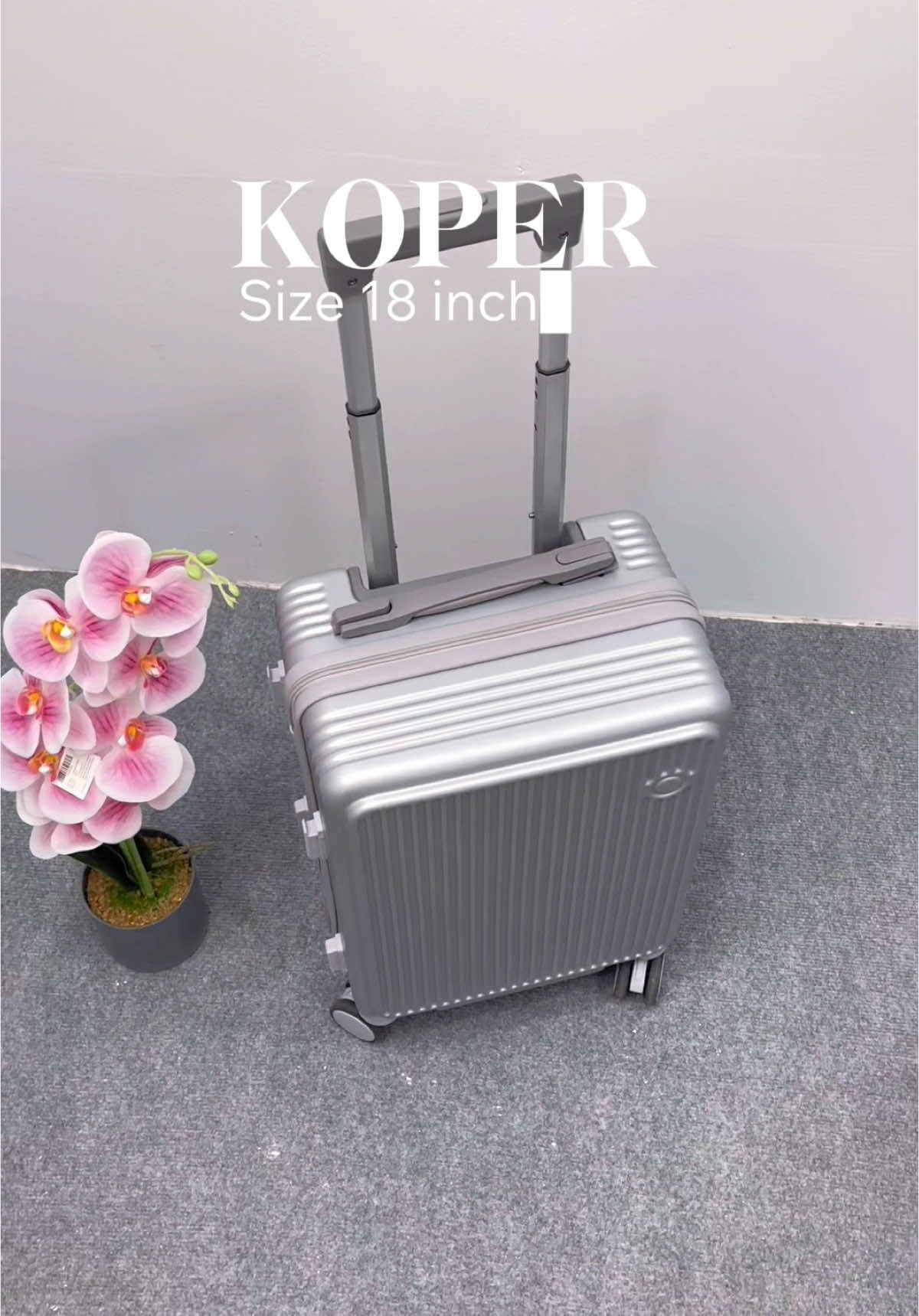 Mini size kabin silver colour 18 inch ✨😍🤩#KoperCustom #KoperUnik #GrosirKoper #GrosirMurah #koper #koperkabin #UsahaKreatif #DiskonSpesial #TikTokShopIndonesia #Dreamkoper 