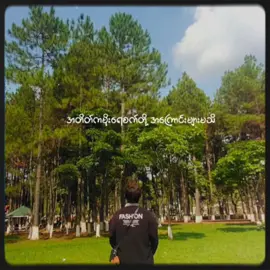မြူအုပ်တို့ဘေးမှာ.....#CapCut #fypシ #ဒီတစ်ပုဒ်တော့fypပေါ်ရောက်ချင်တယ် 