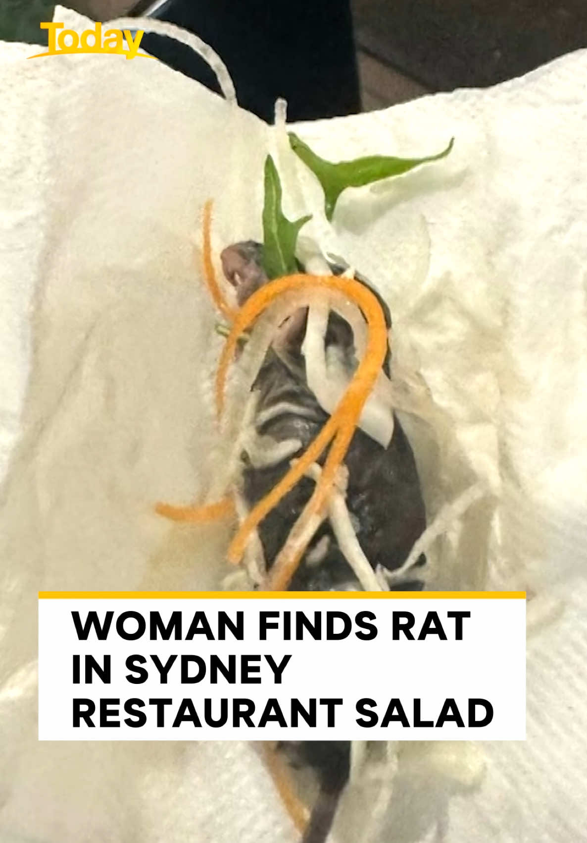 The restaurant has apologised to the customer, and has since voluntarily reported the find to the City of Ryde and the NSW Food Authority. #9Today 
