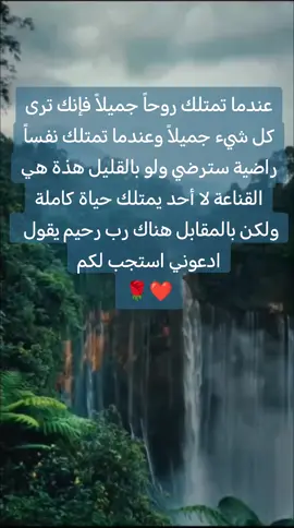 كلام من درر 💎🌹 للعقول الراقية 🫶🥰❤️🌹💜