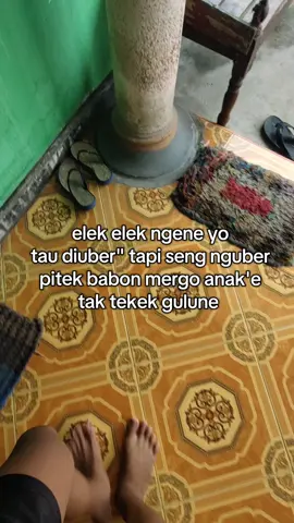 #lewanberanda #semogafyppaminnn😇 #fyppppppppppppp #bismillahfyp #fyppppppppppppp #semogafyppaminnn😇 #lewanberanda #lewatberandafyp #fyppppppppppppp #semogafyppaminnn😇 