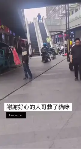 貓咪：謝謝嘍 本來走不出來的