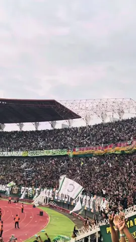 🐊💚#persebaya #persebayasurabaya 