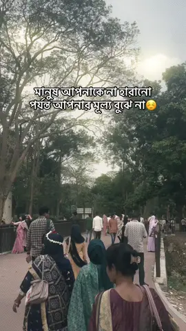 মানুষ আপনাকে না হারানো পর্যন্ত আপনার মূল্য বুঝে না..)☺️#fy #reels 