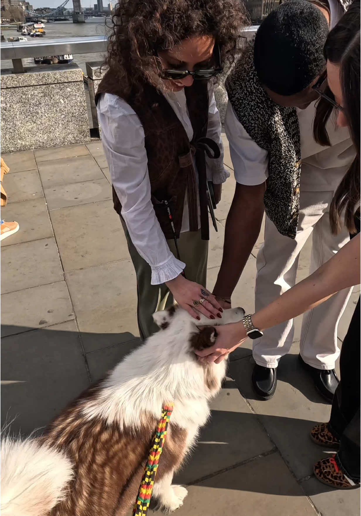 Interactions with my dog!!  #viral #londonbridge #influencer #famous #fyp #viral #london #crowd 