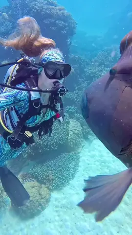 #viral #reels #beach #NatureLover #beauty #amazing #travel #tiktok #tiktok_india #tiktokviral #tiktokpakistan #tiktoknews 