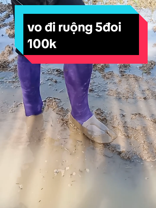 Vo đi ruộng tiên lợi và chắc chắn 