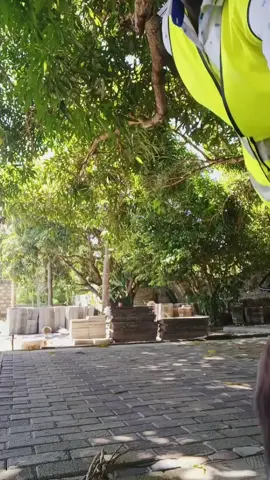 #Isaportarsenalforaliving 