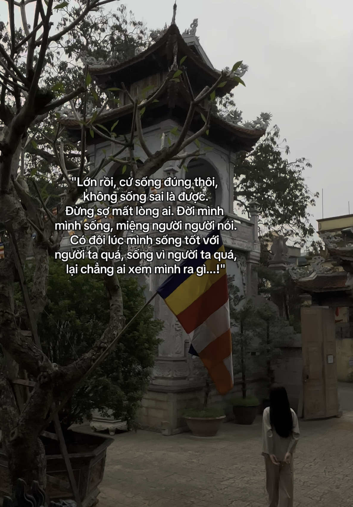 Nam Mô A Di Đà Phật🙏#vothuongphatdao #reviewdodichua #dichuamacgi258 #viral #phật #dichuamacgi #nammoadidaphat #xuhuớng #loiphatday 