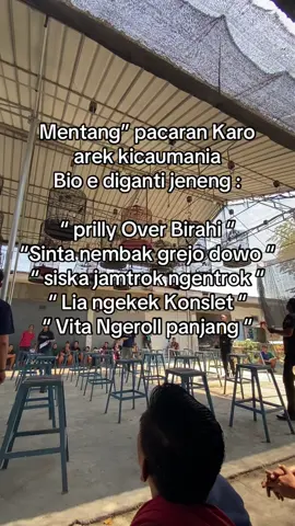 Betina mu ngene pora monn🫣🤣  #kicaumaniaindonesia #muraibatuindonesia #kicaumanianusantara #gantangan #kicaumania #ngekekmania 