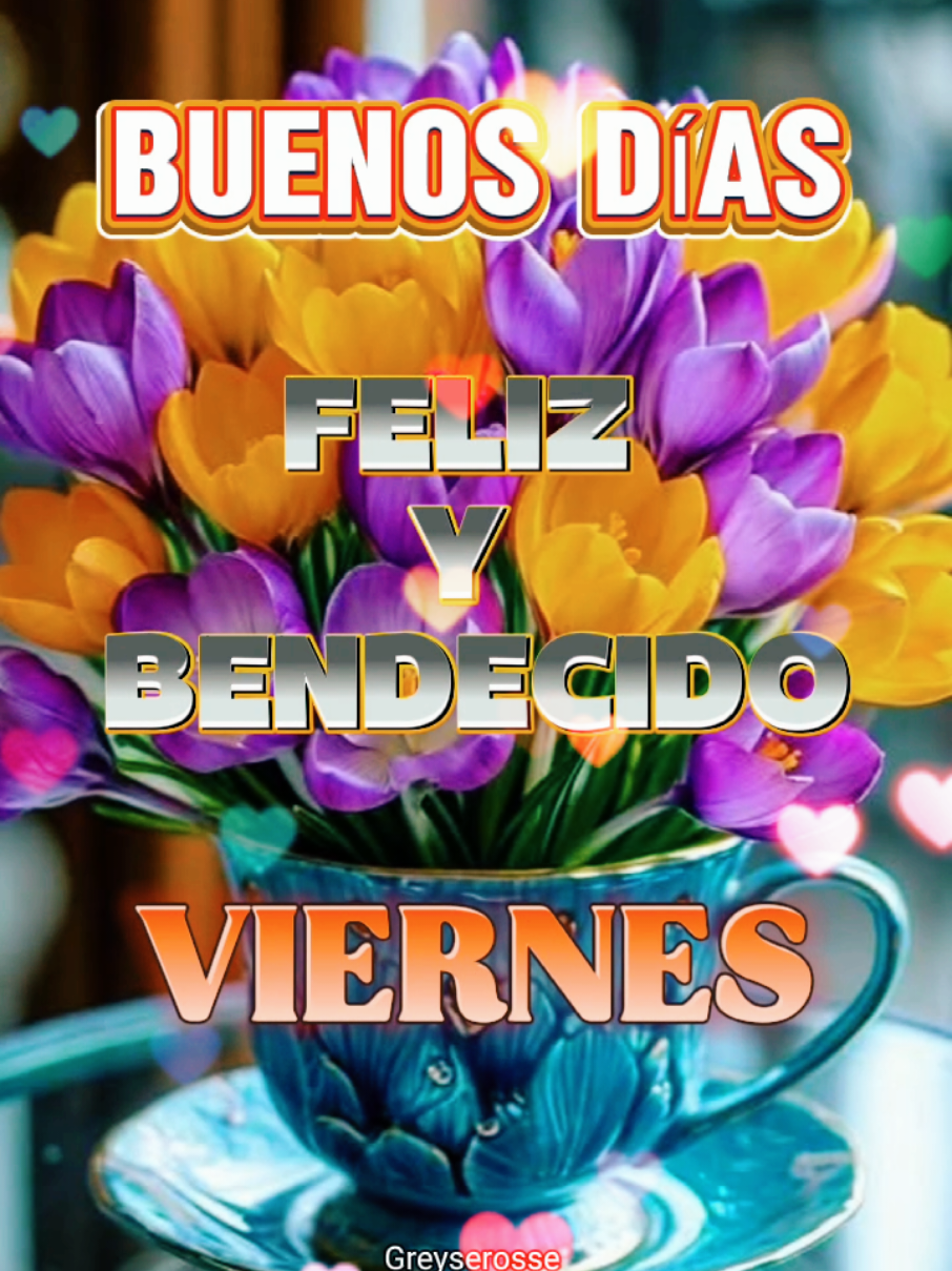 #CapCut #felizviernes #felizdia  #buenosdias #saludostiktokers #greyserosse #video_viraltiktok #paratiiiiiiiiiiiiiiiiiiiiiiiiiiiiiii #creator #viralestiktok #videosvirales #salsabaul #findesemana  #grancombodepuertorico 