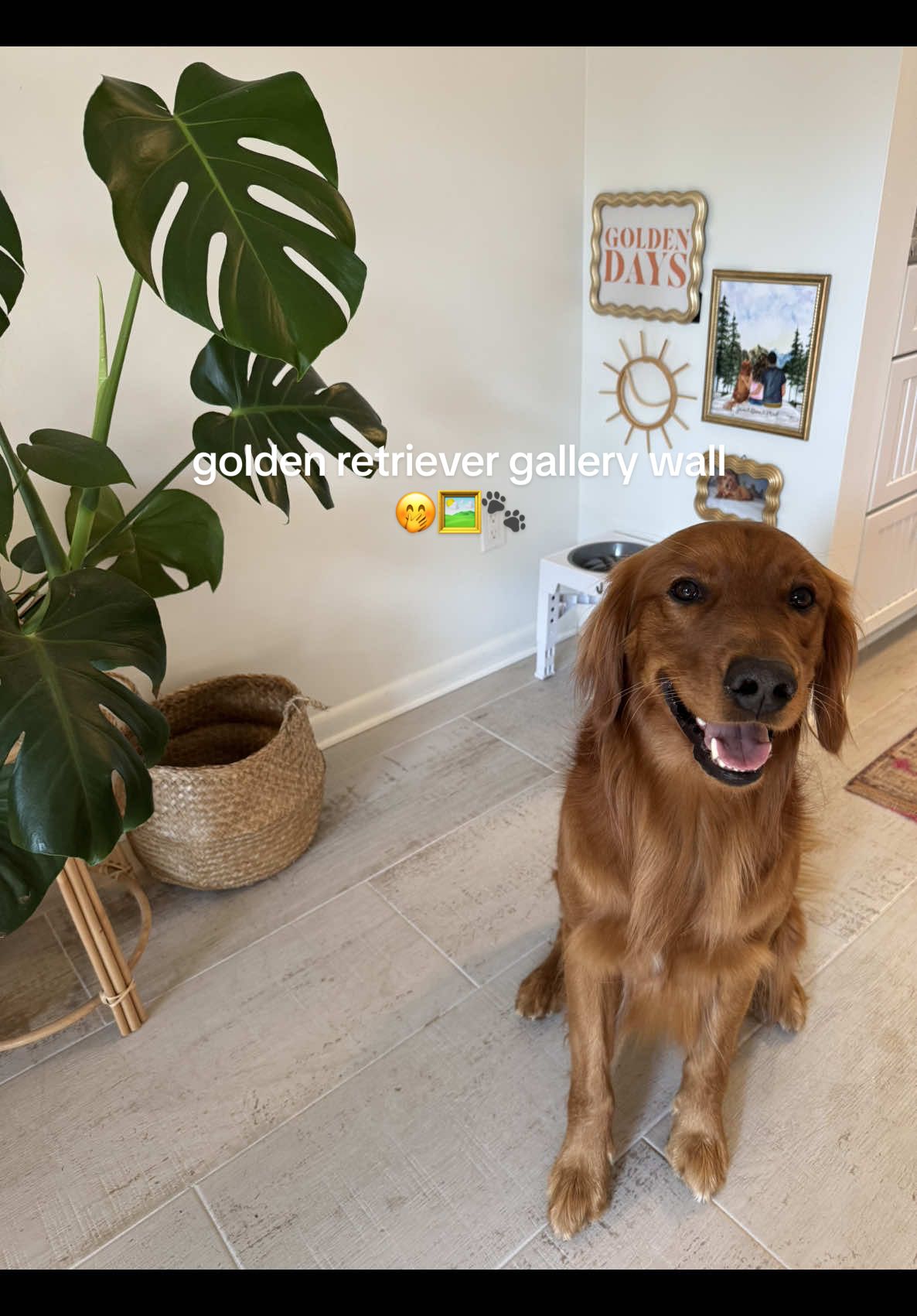 had to bring back my dogs gallery wall from our old house!! Very important priority 💛 the prints are from @Etsy  & frames are from HomeGoods!  #dogsoftiktok #gallerywall #homeideas #homedecor #homeprojects #goldenretrieverlife 