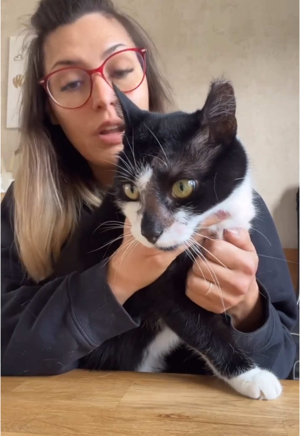 Anzeige| Mein Kater wurde im Mai 2024 von einem Katzenhasser, mit Säure überschüttet. Wir haben wochenlang um sein Leben gekämpft. Heute 1 Jahr später, hat er noch immer offene Stellen.  Ich muss euch nicht erzählen, wie hoch die Tierarztrechnungen waren, wir ärgern uns total das wir keine Tierkrankenversicherung hatten. Um euch das zu ersparen eine Riesen Empfehlung euch rechtzeitig drum zu kümmern. Kann auch hansemerkur nur empfehlen.  #hansemerkur #tierkrankenversicherung #handinhand #säureangriff #katze