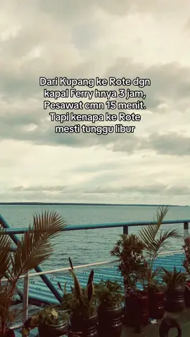 #kupangtiktok #nttpride🏝🔥 #berandatiktok 