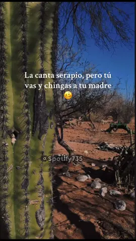 En pocas palabras no vengo a rogarte... #serapioramirez #grupolaberinto #nolleguepapedirtequebuelvas #amoresnideudas #fyp #foryoupage #parati #rancho 