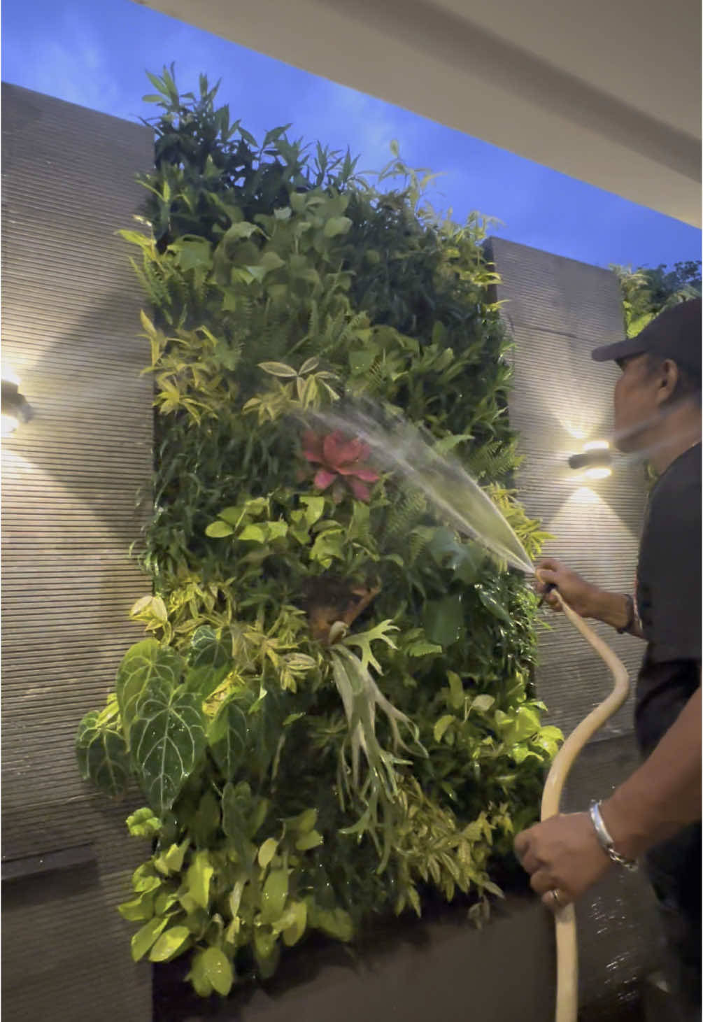 Vertical Garden / Taman Dinding / Greenwall Project Metro Lampung More info or order, link chat at bio #verticalgarden #livingwall #gardening #tamanminimalis #metamoreflora 