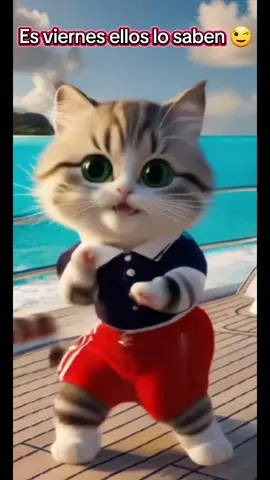 #paralosamantesdelosgatos#esviernes#elcuerpolosabe#😻🥰😘 