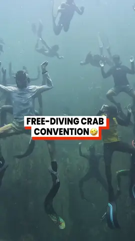 How do they hold their breath so long!? 😱👏🏻 @adamfreediver  #sea #ocean #dive #scubadive #freediving #cool #crabs #mrkrabs #deepocean