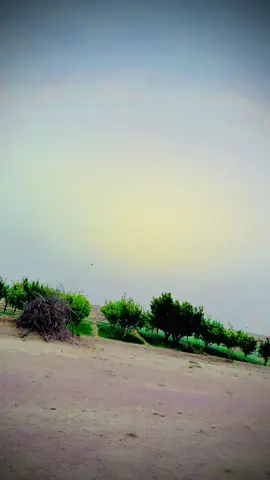 #foryoupage #video #tiktok 