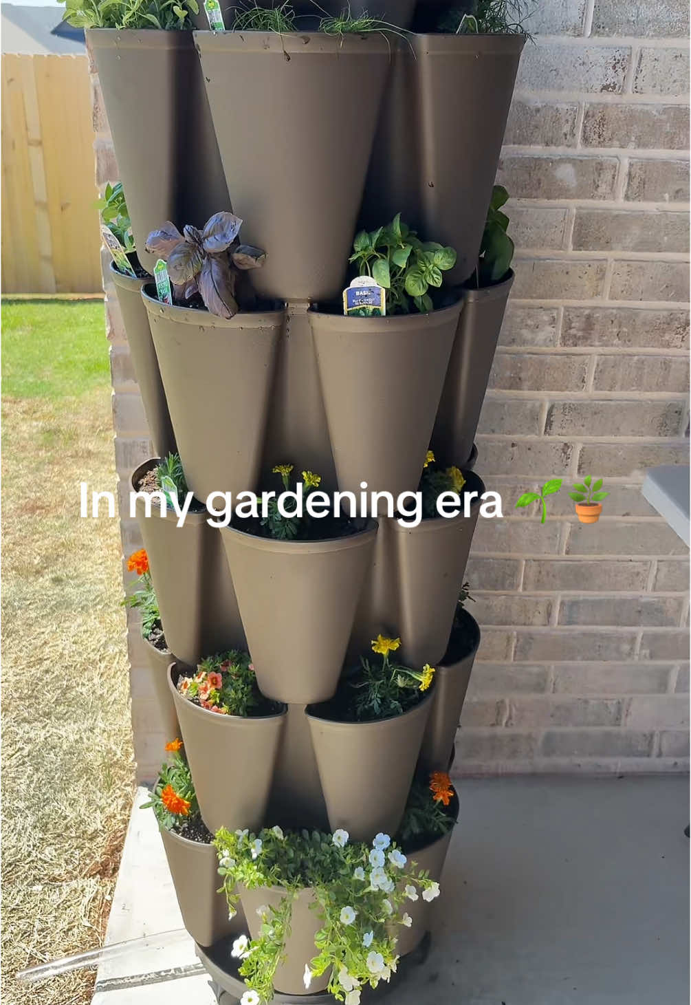 Love my @GreenStalk Vertical Gardens so much!🫶🏼 #Tiktok #fyp #fypシ #garden #gardening #gardenproject #gardening101 #gardentok #gardendesign #gardenmusthaves #greenstalkgarden #greenstalkplanter 