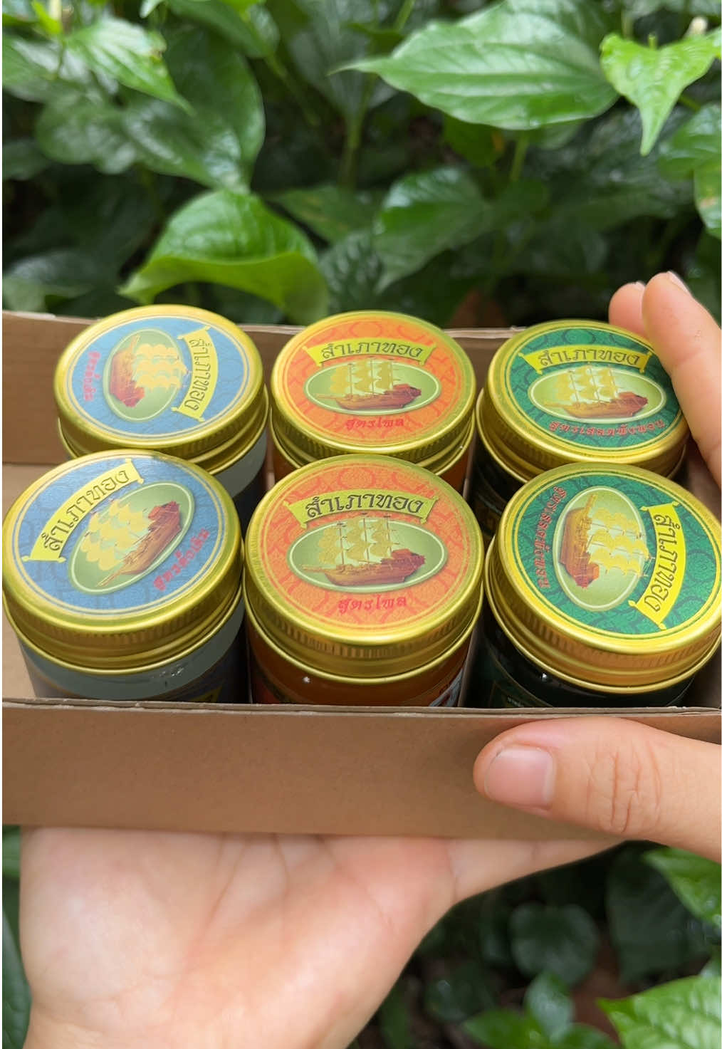 Dầu cù là cánh bườm #dầu #daucula #dauculacanhbuom #dauculacanhbuomtrang #dauculacanhbuomvang #dauculacanhbuomxanh #dauthai #dauxoabop #caoxoabop #dauthailan #dauculathai #dauculathailan 