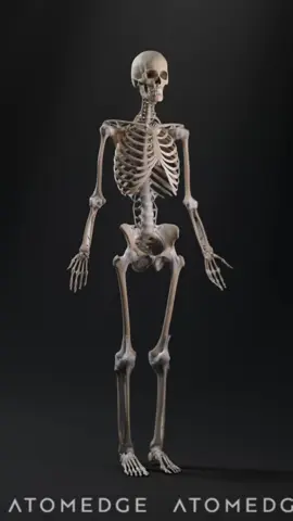Your body is covered in secret signatures - and they're all uniquely you! 🔍✨#anatomyfacts #funscience #DidYouKnow 
