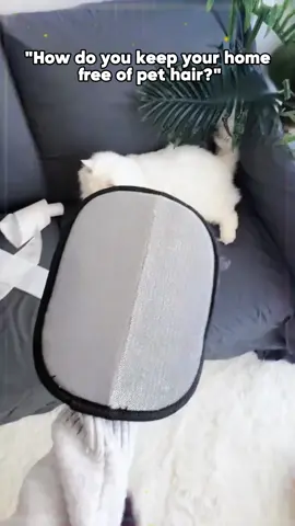 Say goodbye to pet hair with this removal glove! 👋🏼👋🏽#CleanTok #pethairremoval #tiktokmademebuyit #fyp