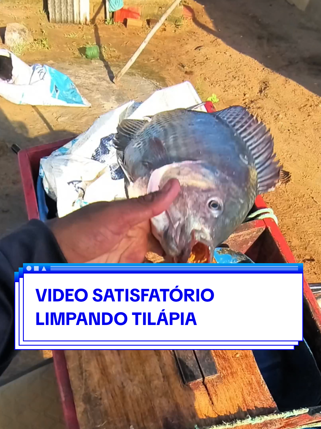 Vídeo satisfatório limpando tilápia  #satisfatorio #satisfactory #tilapia #asmr #asmrsounds 