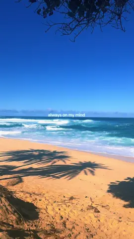 #hawaii #northshore