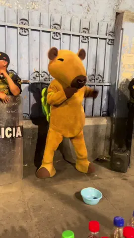 El Capibara mas querido haciendo de las suyas 🤭👮‍♂️ #centro de lima #capibara #bailando 