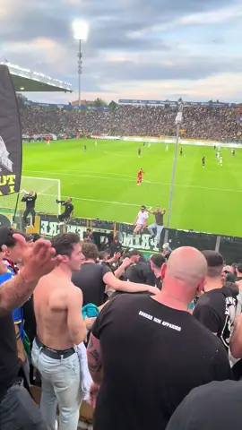 Nonostante tutto fino alla fine ..🤍🖤#viral_video #ultras #parma #juventus 
