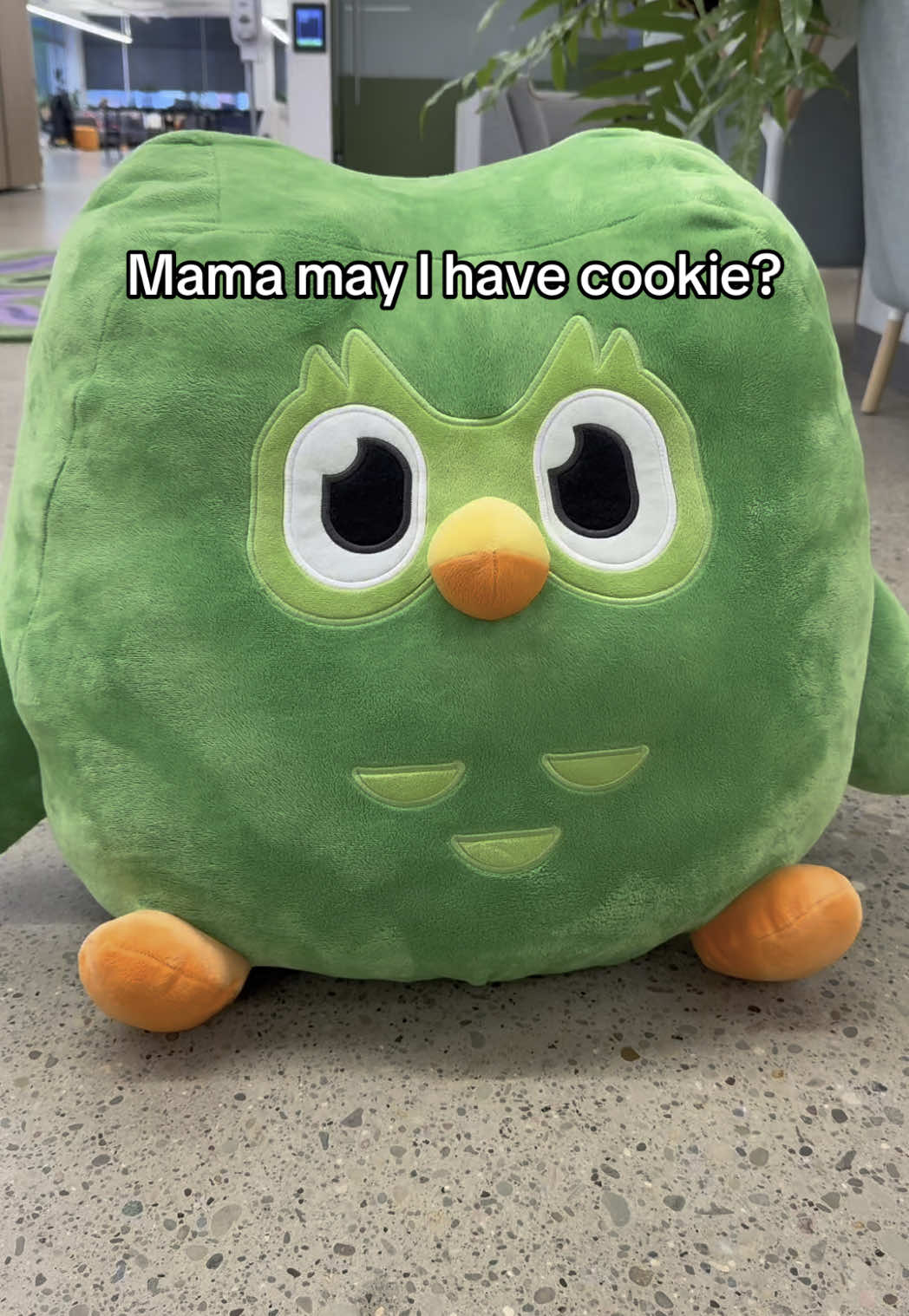 no streak no sweet treat #duolingo @Kendallpusheens #mamamayihavecookie 