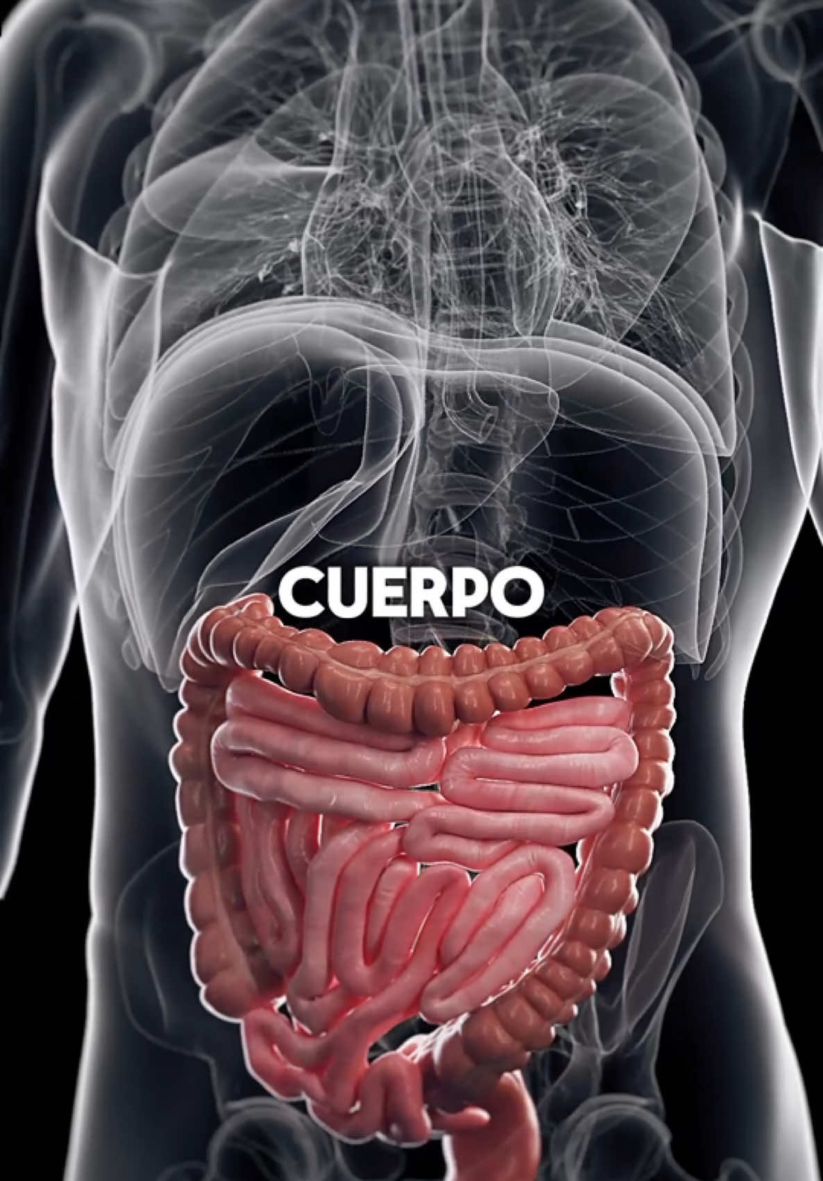 Esto es lo que le pasaría a tu cuerpo si empiezas a comer saludable por las mañanas 😱🍛 #comidasaludable #desayunosaludable #desayuno #consejosdesalud #salud 