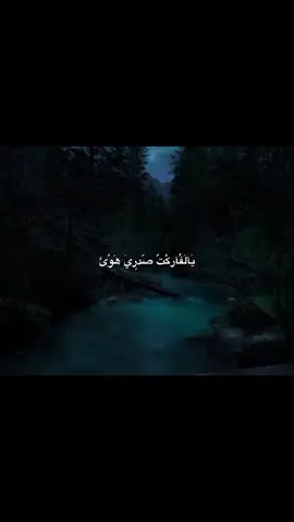 يالفاركت صدري هوه  ألمُصَممةوتين313 #باسم_الكربلائي_عشق_لا_ينتهي  #تصميمي #النجف_الأشرف  #تصميم_فيديوهات🎶🎤🎬تصميمي 